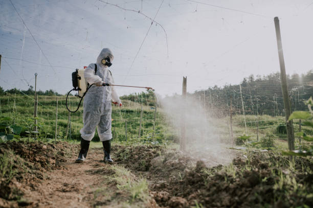 Best Ant Control Services  in Port Ewen, NY
