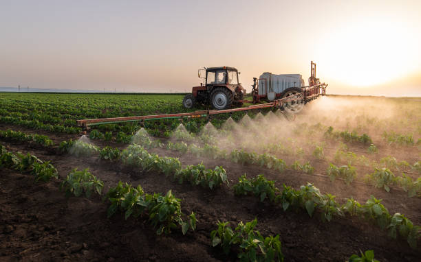 Best Pest Prevention Services  in Port Ewen, NY