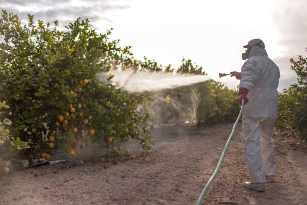 Best Residential Pest Control  in Port Ewen, NY