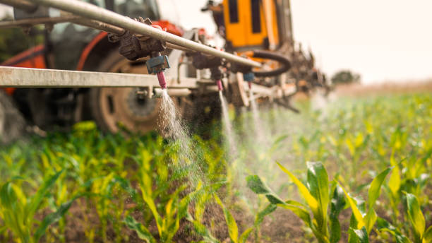 Best Wildlife Control Services  in Port Ewen, NY